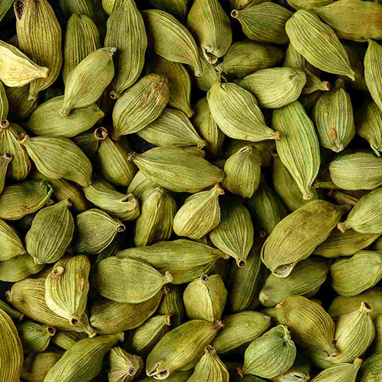 Cardamoms for export import