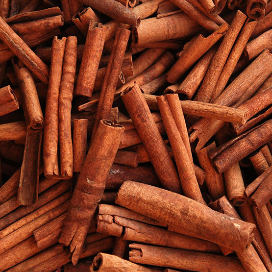 Cinnamon for export import