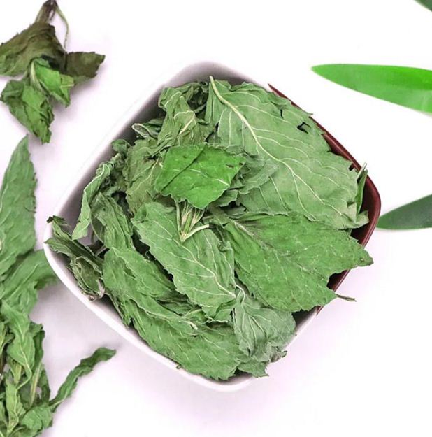 Peppermint for export import