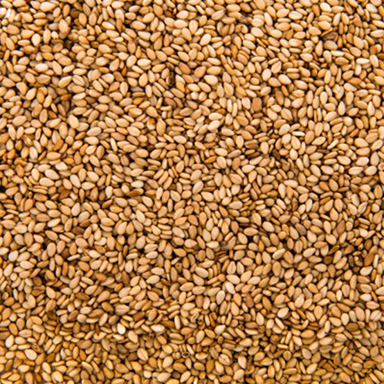 Sesame Golden export import